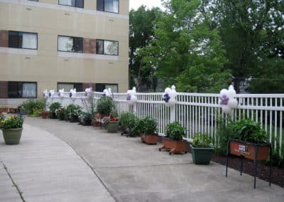 Balloon flowers on outside fence-Endicott