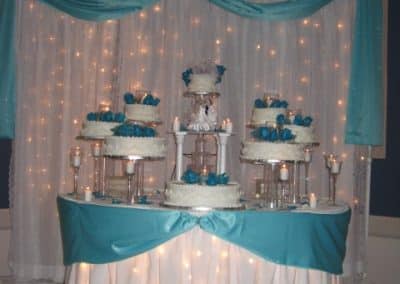 Backdrop and lights for cake table-DoubleTree