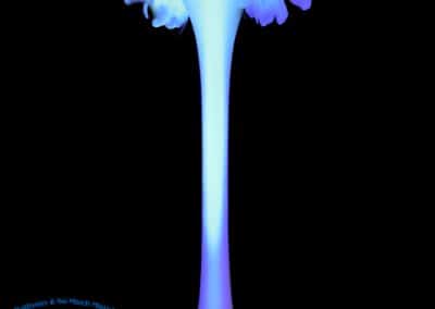 Feather and up-lighting spandex column