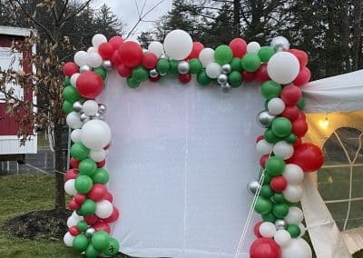 Photo backdrop-Christmas in Montrose